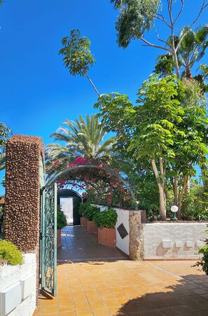 Property grounds - Spectacular apartment in Parque Don José with terrace (Costa del Silencio)