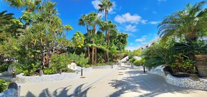 Property grounds - Spectacular apartment in Parque Don José with terrace (Costa del Silencio)