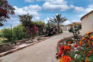 Àrea exterior de l'allotjament