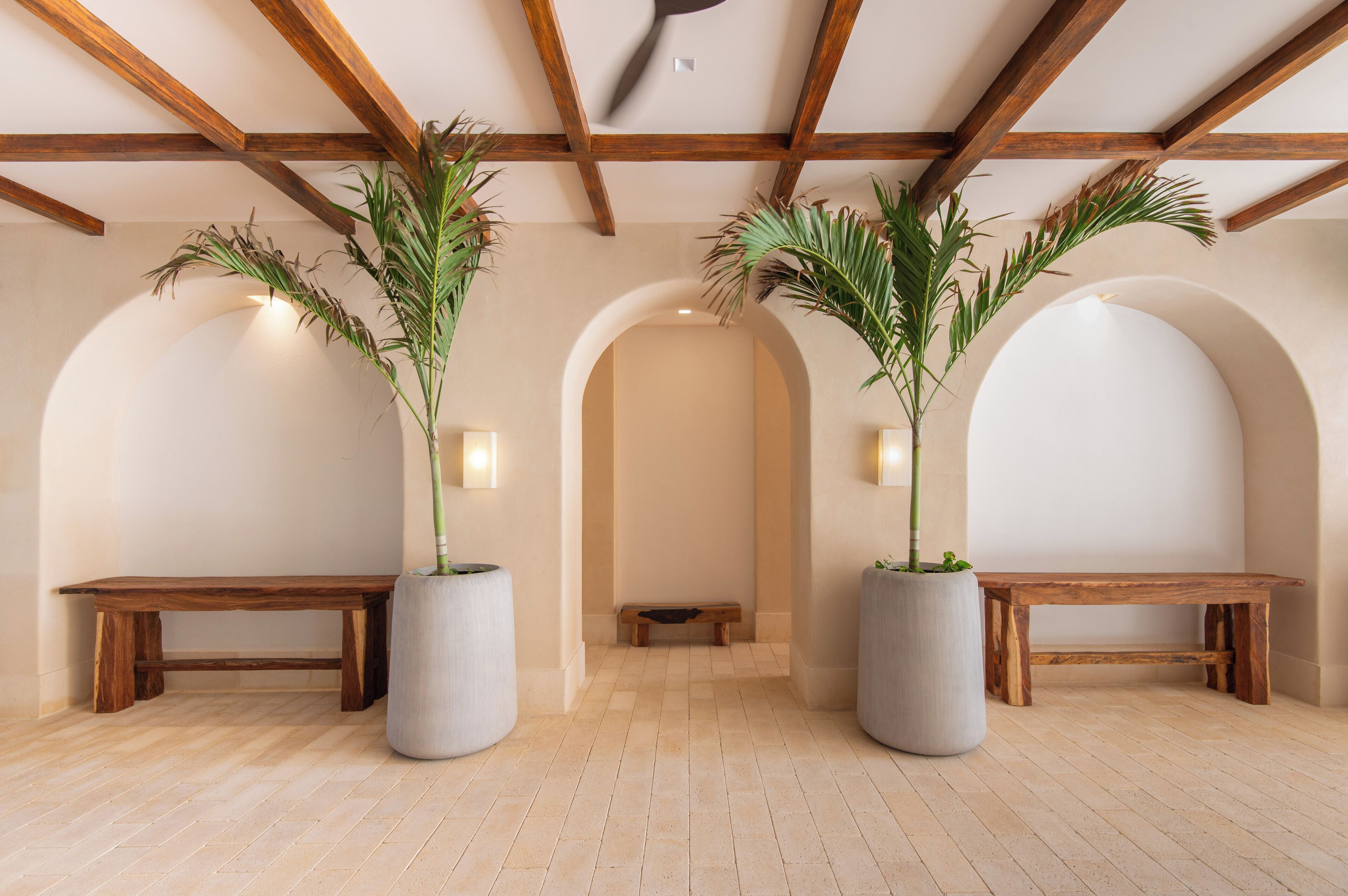 A hallway with wooden benches, large potted plants, and a bench in the center.