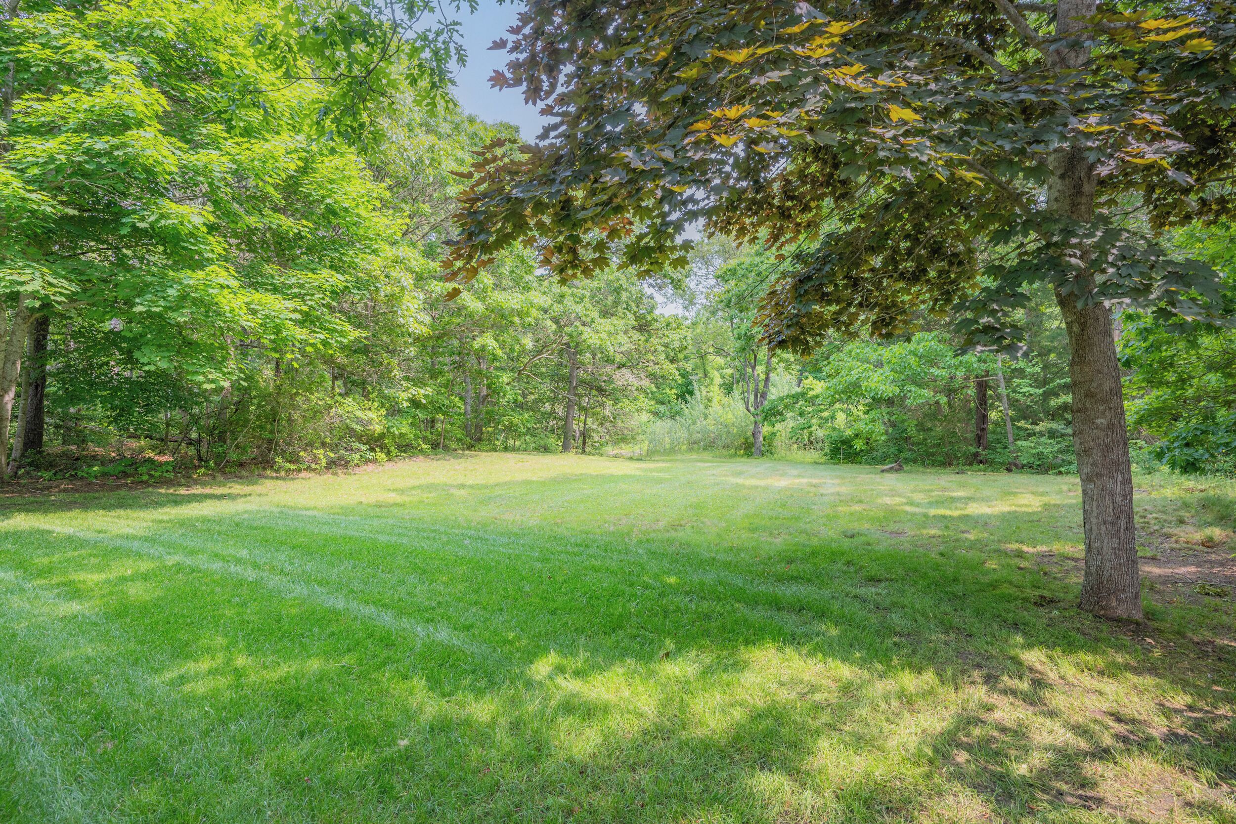 A grassy park area with trees and a clear sky.