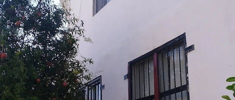 Extérieur