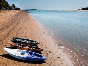 Botes de remos