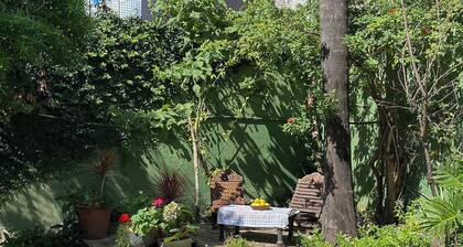 Gorgeous house with pool and large yard in central Buenos Aires