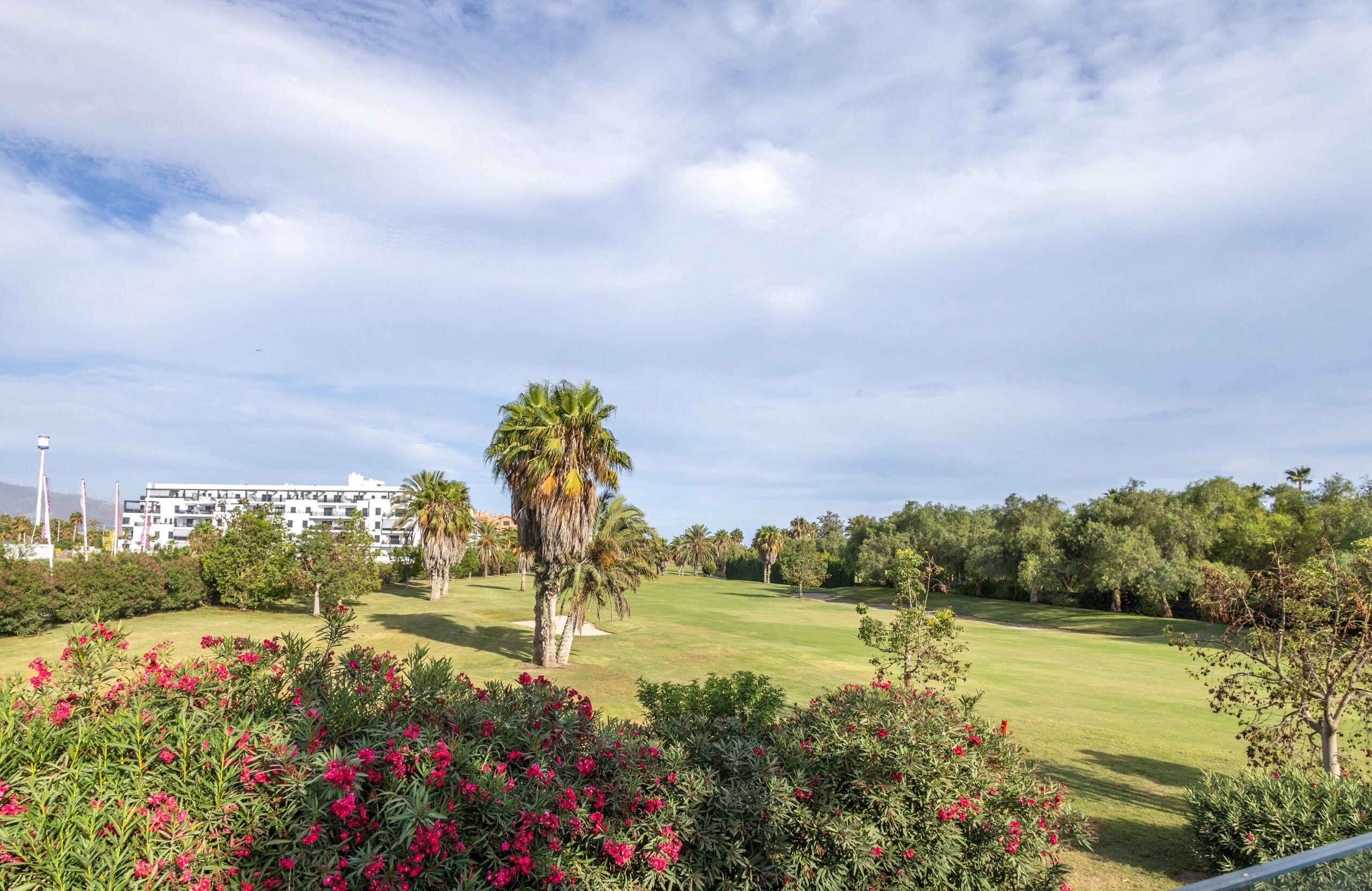 Un campo de golf con una palmera, exuberante vegetación y un edificio al fondo.