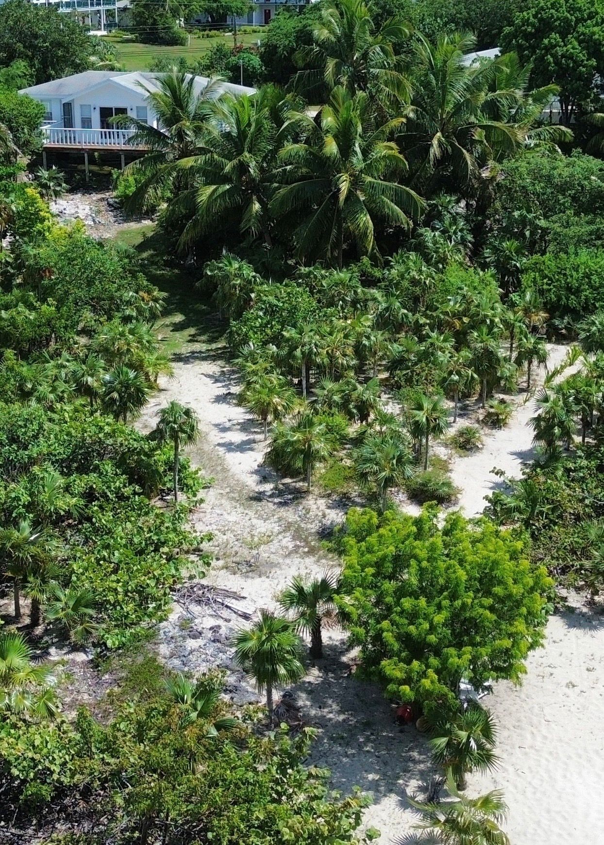 Un complexe hôtelier tropical doté d’une plage de sable, de palmiers luxuriants et d’un bâtiment blanc en arrière-plan.