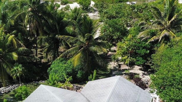A tropical beach with clear turquoise waters, palm trees, and a white building with a tiled roof. - NEW 2 bdrm Sunrise Villa on 1+ acre tropical garden directly on Hoopers Beach (George Town)
