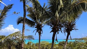 A tropical landscape with palm trees, a hammock, and a view of the ocean. - NEW 2 bdrm Sunrise Villa on 1+ acre tropical garden directly on Hoopers Beach (George Town)