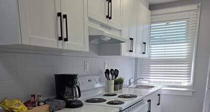 Stylish Modern Gem in Downtown