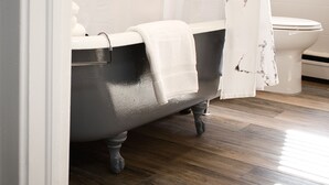 Un bagno con una vasca da bagno ad artigli di leone, un water e una tenda da doccia.