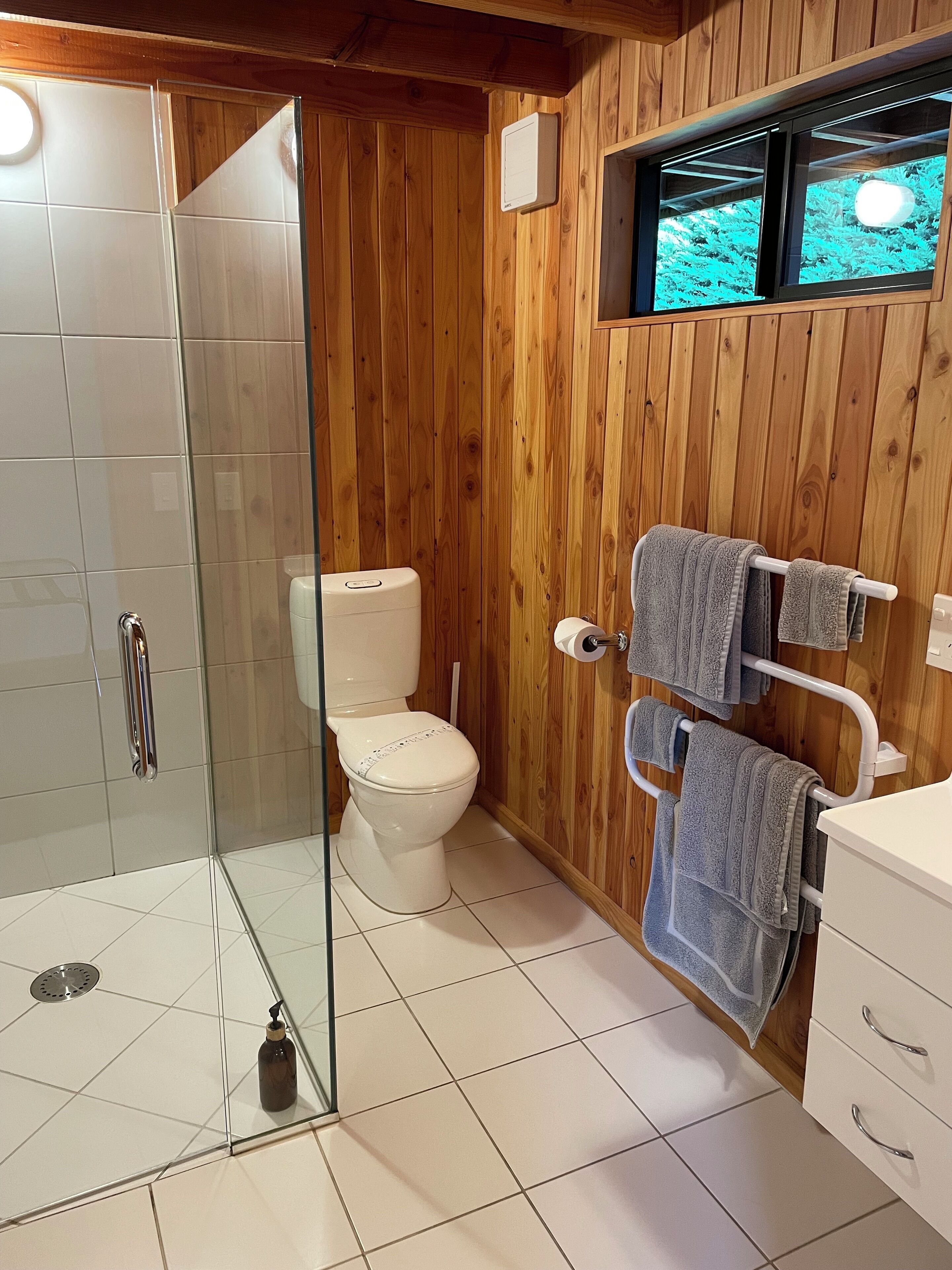 Shower, hair dryer, towels, soap