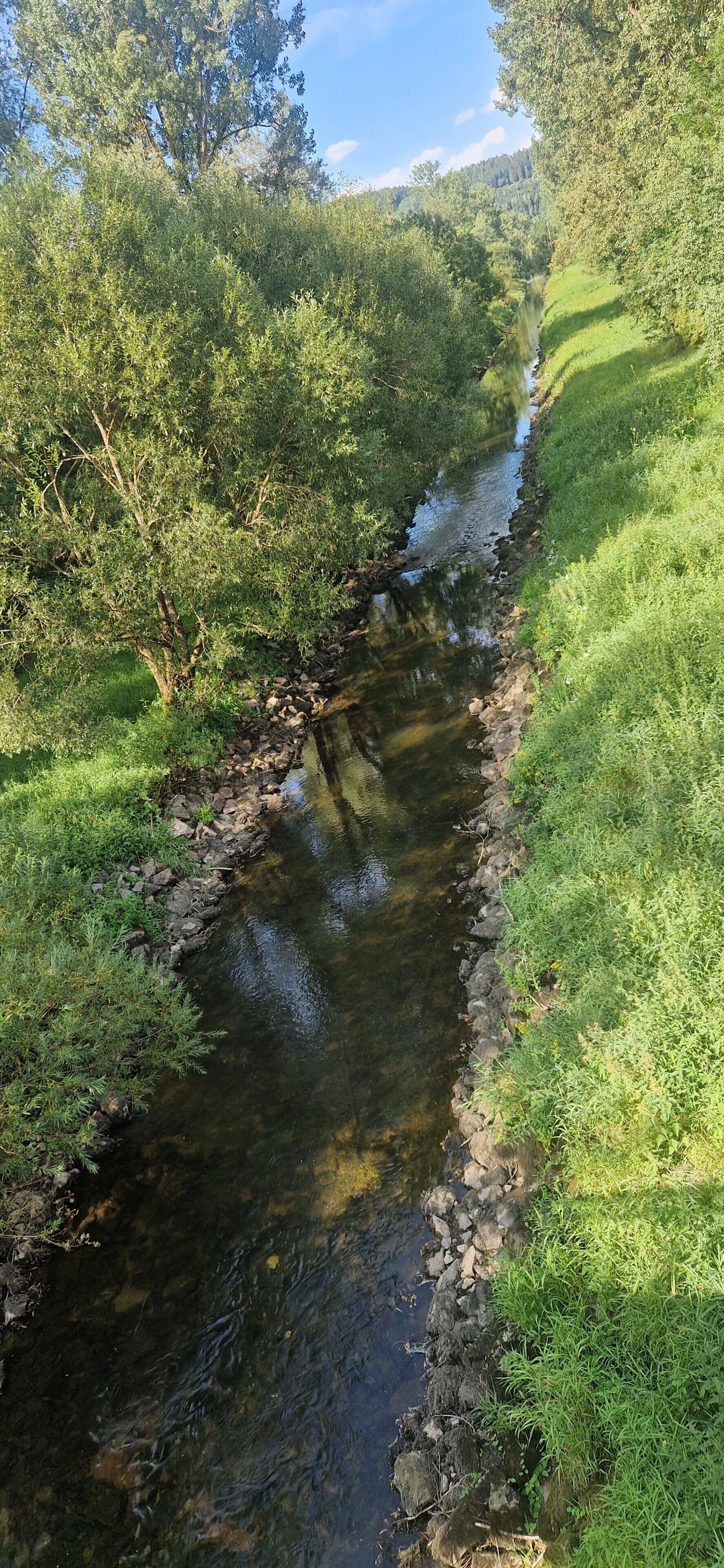 A narrow stream with surrounding greenery and a clear sky.