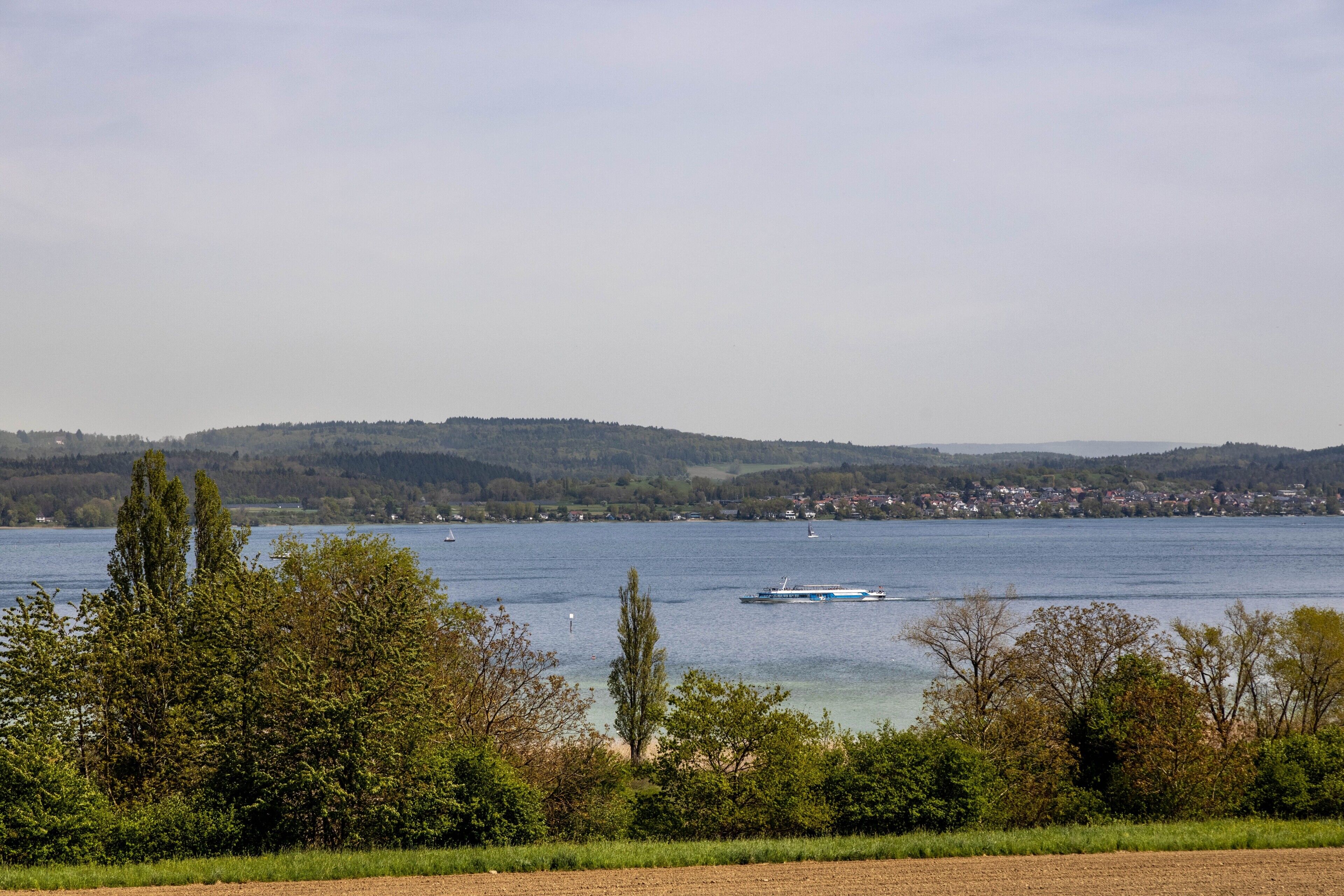 A lake with a boat, surrounded by trees and a distant town.