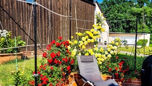 En uteplats med en solstol, ett trästaket och ett stort utbud av blommor.