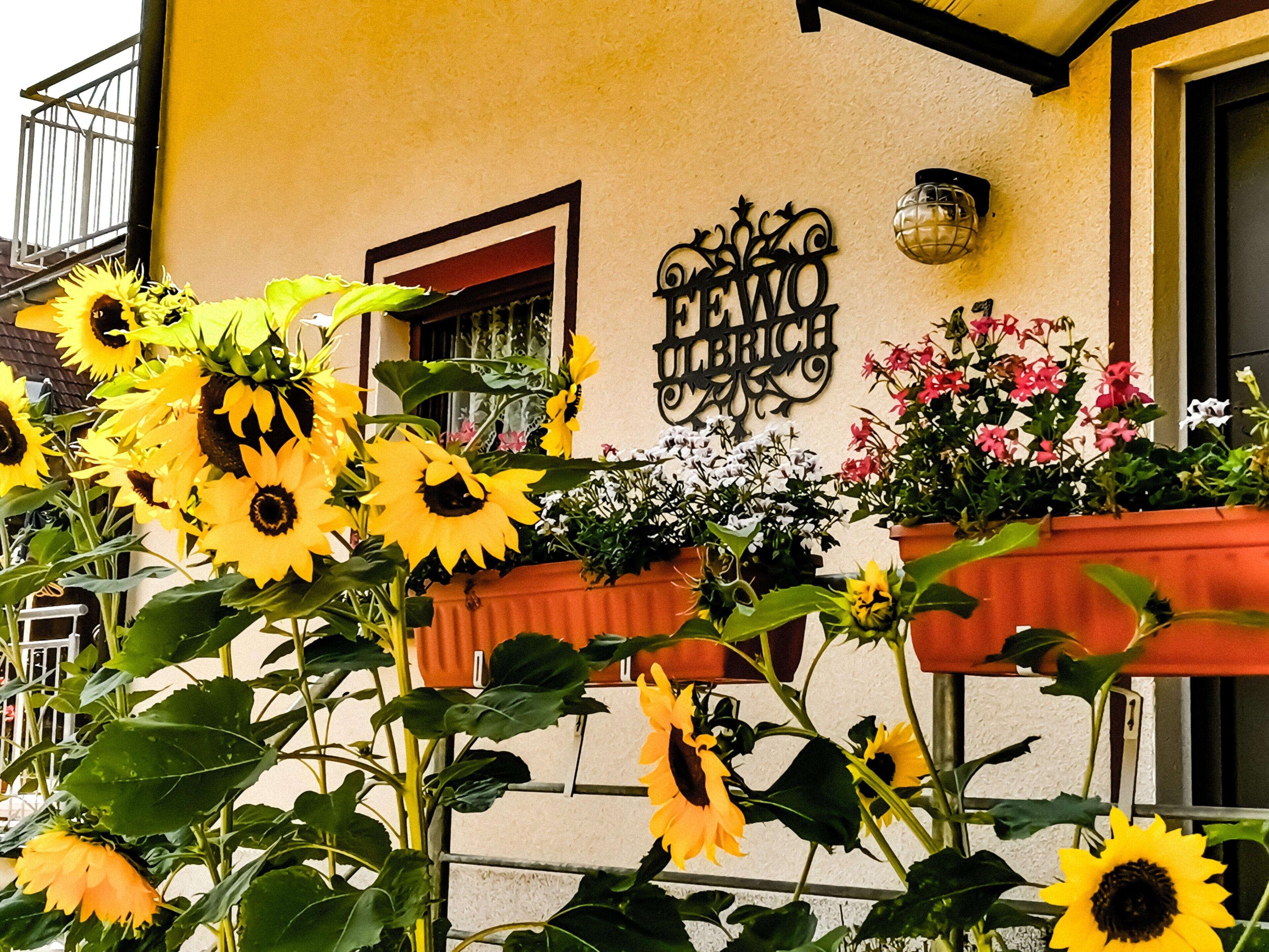 Ein Gebäude mit einem Schild, auf dem 'EL BRICH' steht, und Blumenkästen mit Sonnenblumen und anderen Blumen.