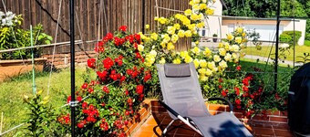 Vacation Home "Ulbrich" with Private Terrace, Balcony & Wi-Fi