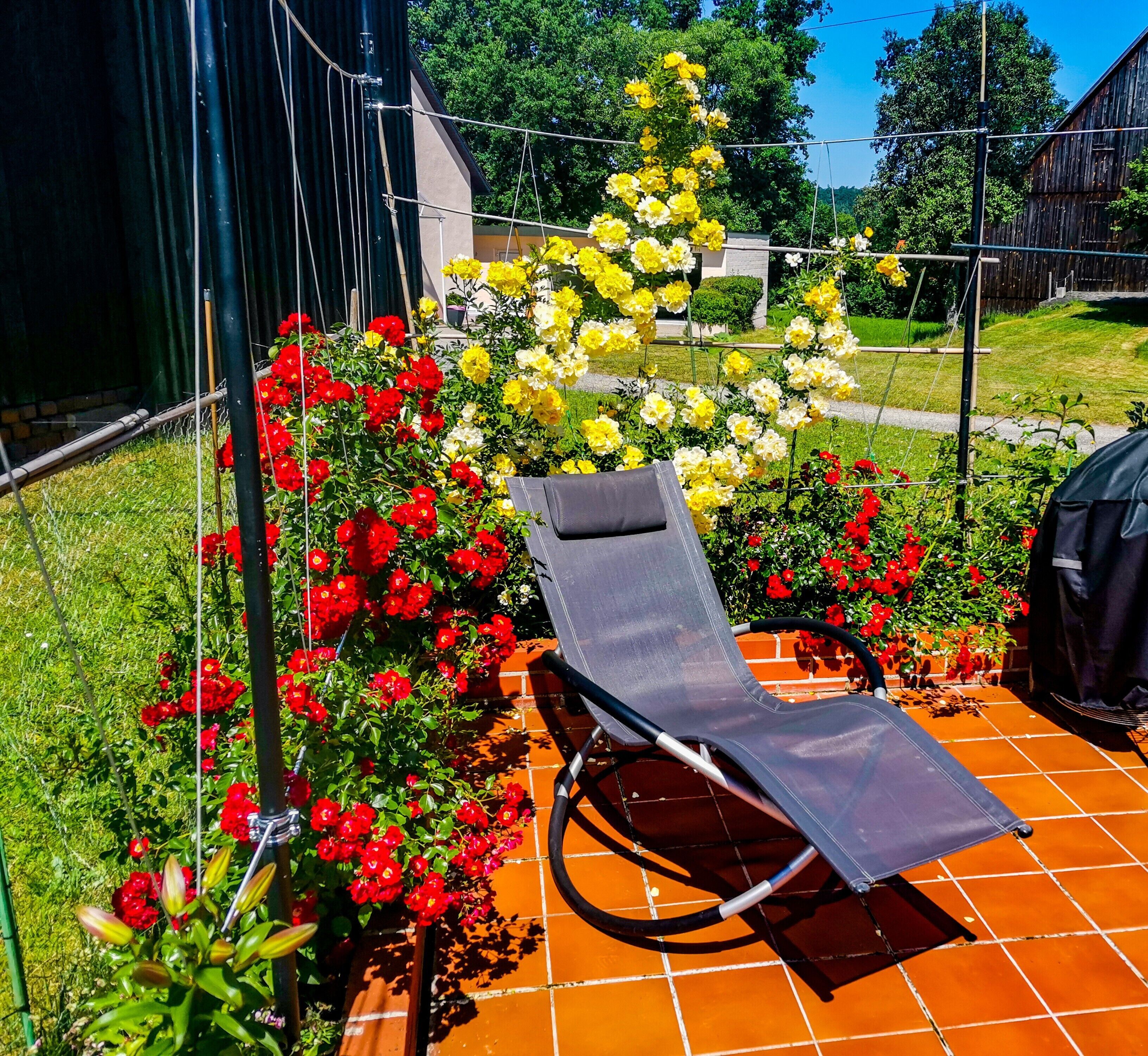 Eine Liege auf einer gefliesten Terrasse, umgeben von farbenprächtigen Blumen.