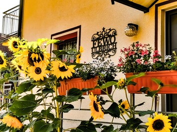 DĂ©tail de lâextĂ©rieur