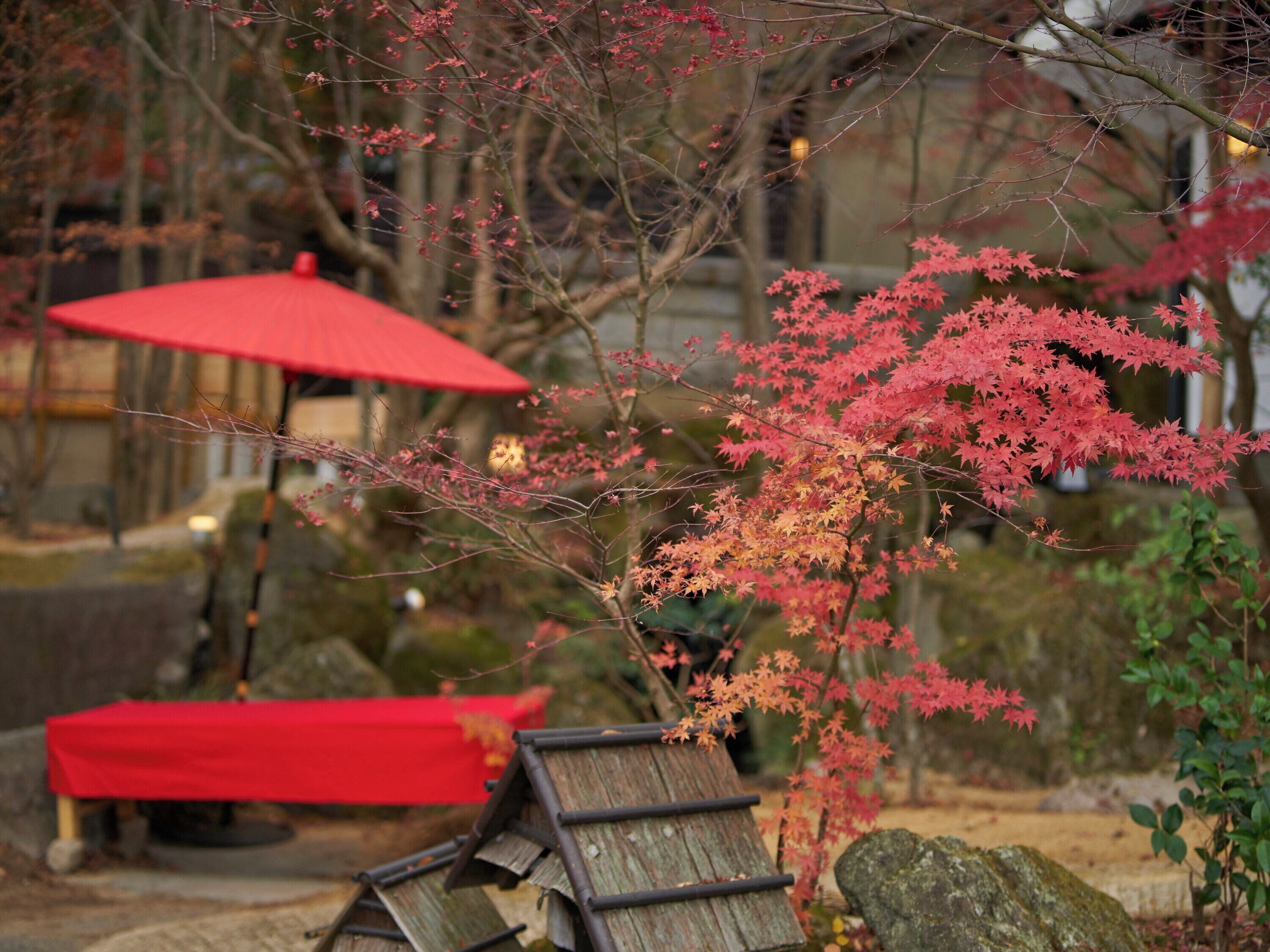A traditional Japanese garden with a red umbrella, wooden structures, and autumn foliage.