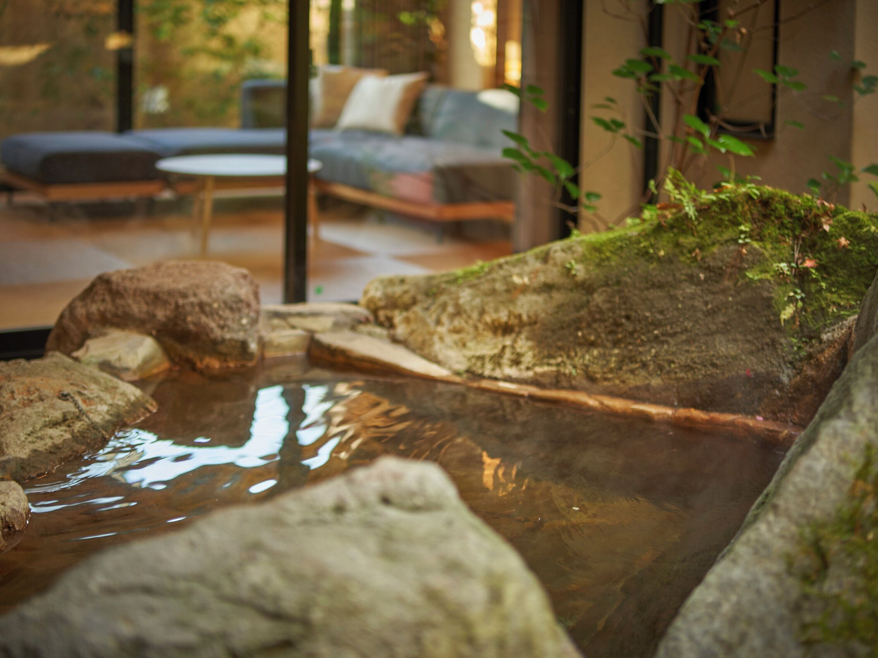 Luxury Double or Twin Room | Bathroom | Separate tub and shower, spring water tub, free toiletries, hair dryer