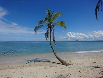 Delightful garden apartment, 2 minute walk from the beach in Cahuita