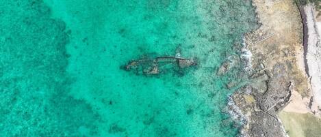 Playa en los alrededores y camastros