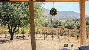 A vineyard with rows of grapevines, a large tree, and a hanging flower arrangement. - Thoughtfully Designed for Accessibility and Family-Friendliness. (Mariposa)