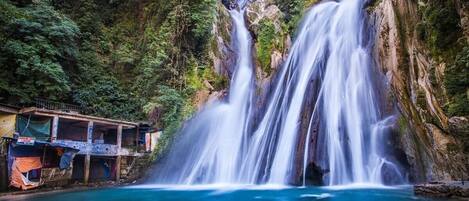 A waterfall cascading into a pool, surrounded by lush greenery and a building with a signboard.