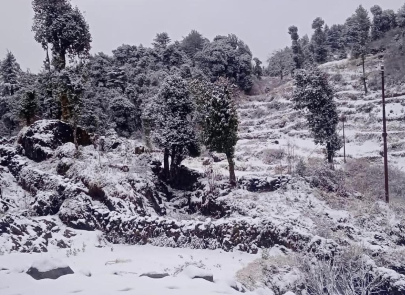Paesaggio innevato con alberi e terreno roccioso.
