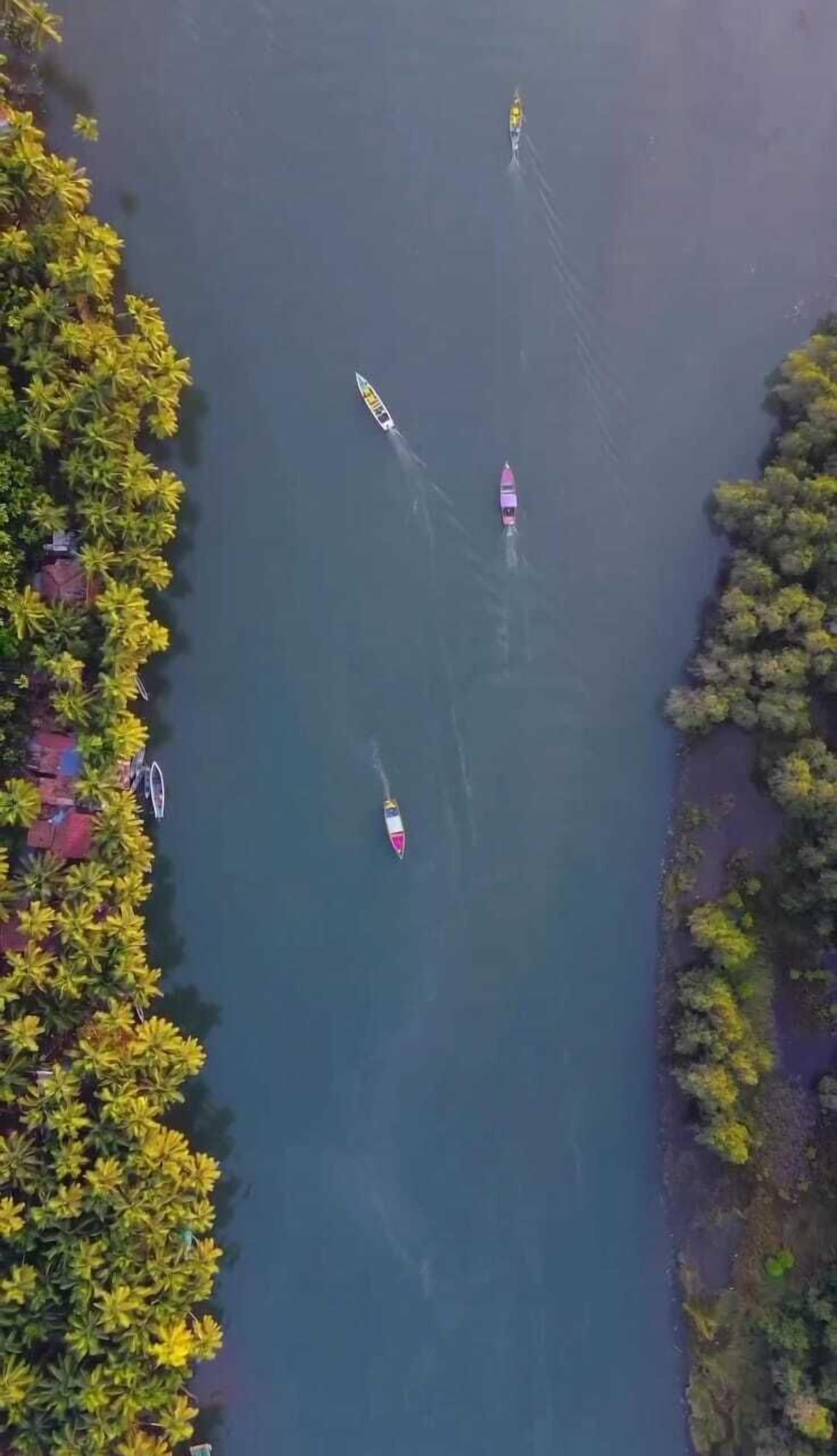 An aerial view of a body of water with three boats.