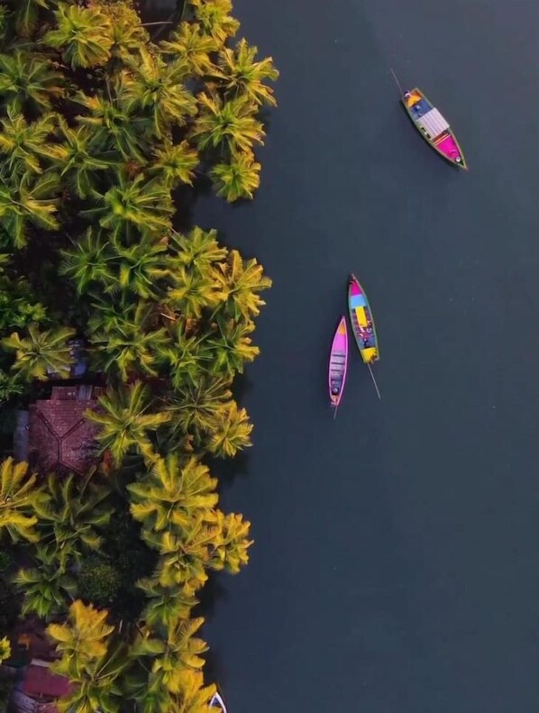 An aerial view of a tropical area with dense palm trees and two colorful boats on calm water. - JRN Island Beach Stay Resort (Honavar)