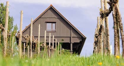 SCHILCHERLANDLEBEN House in the vineyard