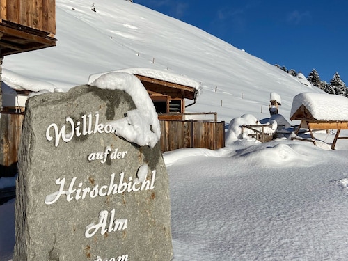Alpine Pasture in the Zillertal Mountains