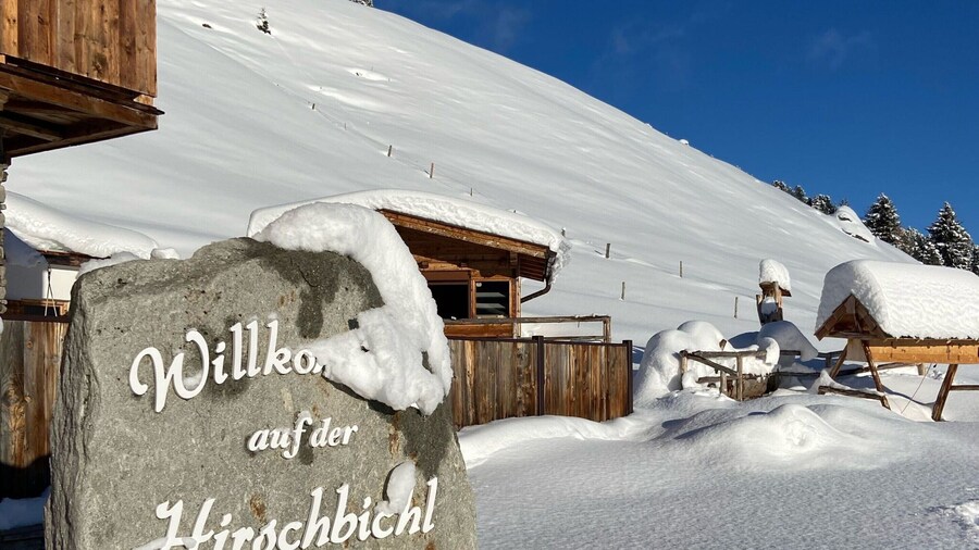 Alpine Pasture in the Zillertal Mountains