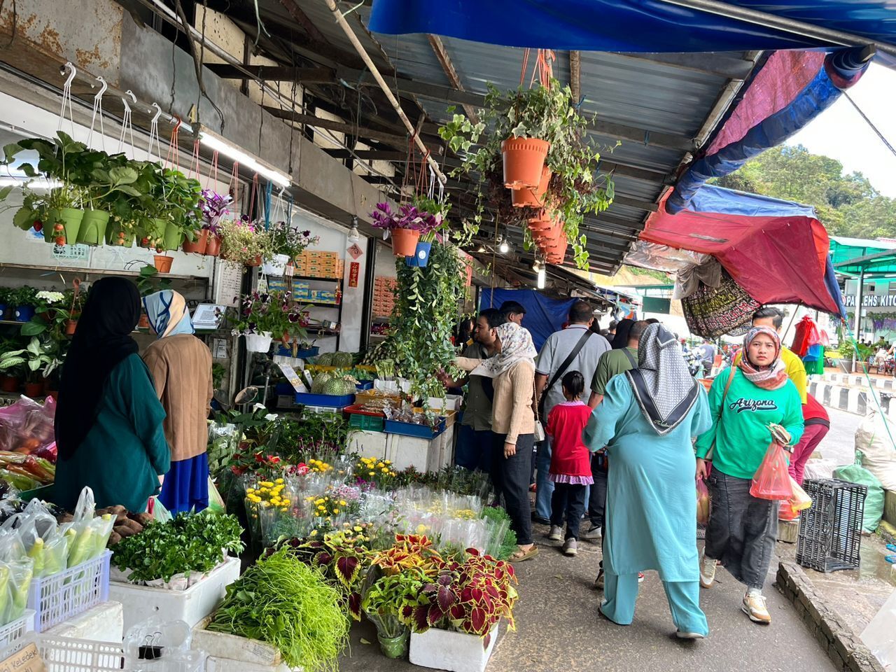 A bustling outdoor market with various stalls selling fresh produce and hanging plants.