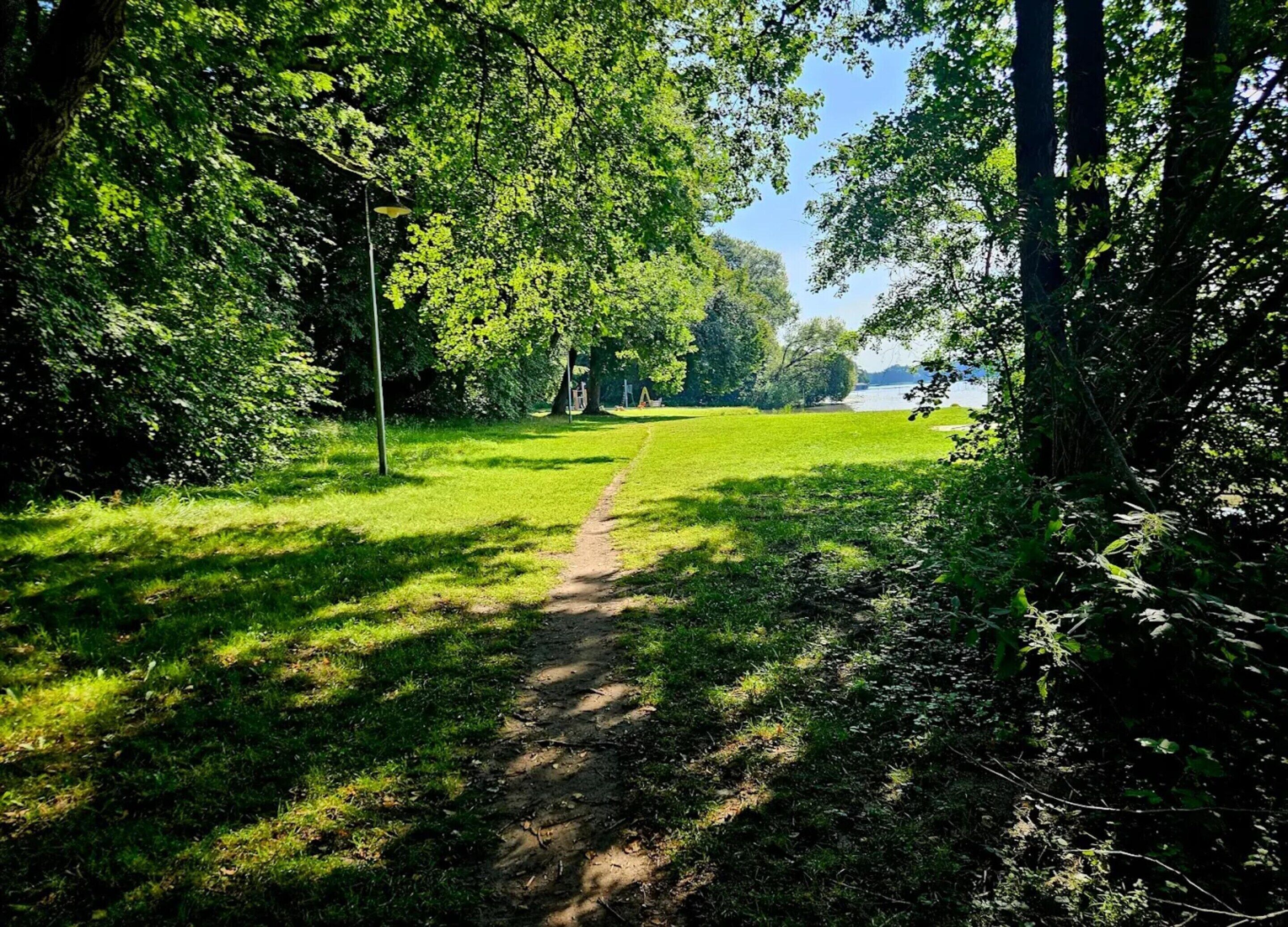 A clear path through a park with trees and a body of water in the background.