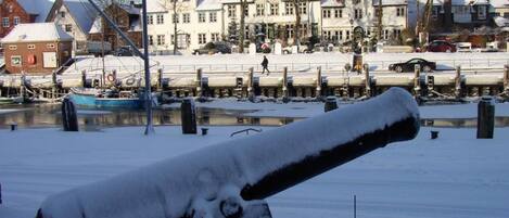 A snow-covered cannon in a park with a row of houses in the background.