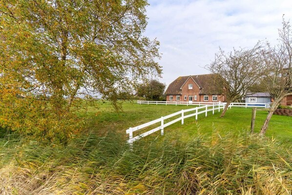 Exterior - Ferienwohnungen, Tonning (Toenning)