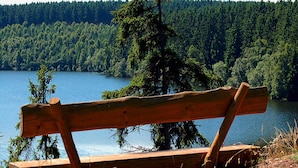 A wooden bench by a lake with a forest in the background. - Blockhaus, Hasselfelde (Oberharz am Brocken)