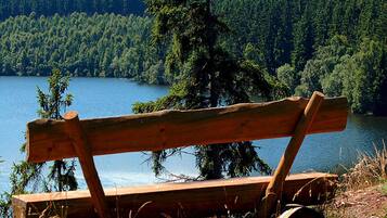 Ferienhaus | Blick von der Unterkunft