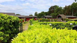 Unclassified image, 2 of 32, button - Neuer Luxurioser Bungalow, Rauberkuhle, Koserow (Koserow)