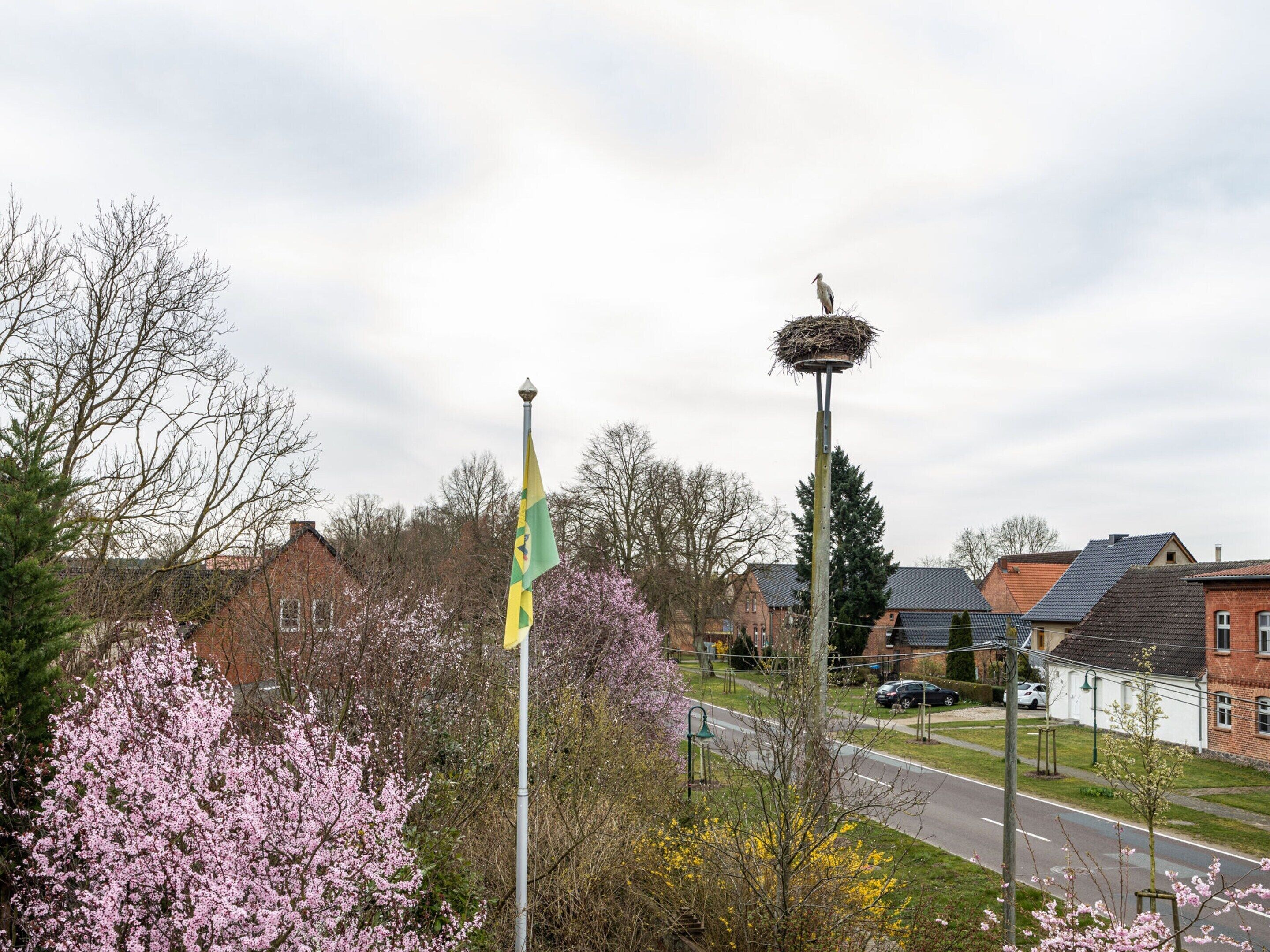Área residencial com casas, uma rua e um mastro com uma bandeira.