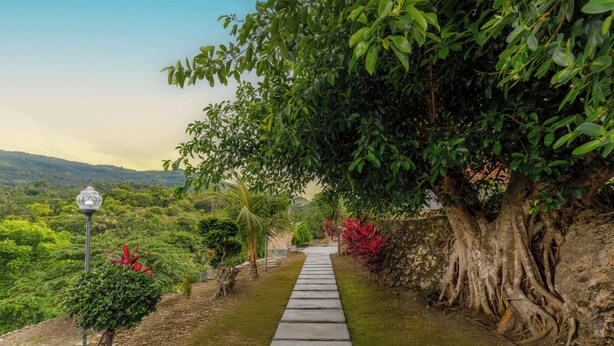 A pathway leading through a lush garden with a large tree and a lamp post. - La Rise Penida Cottage (Penida Island)