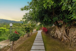 A pathway leading through a lush garden with a large tree and a lamp post. - La Rise Penida Cottage (Penida Island)