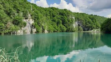 Căn hộ | Quang cảnh nhìn từ nơi lưu trú