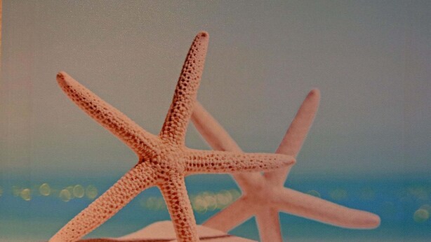 Two starfish on a sandy surface with a blurred background. - Ferienhauser am Teich, Zinnowitz (Zinnowitz)