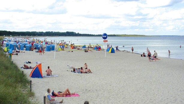 A crowded beach with numerous tents and beachgoers.