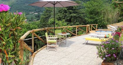 Villa in Camaiore With Panoramic Mountain Views