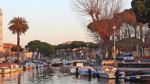Un puerto deportivo con barcos amarrados a lo largo del muelle, rodeado de árboles y edificios.