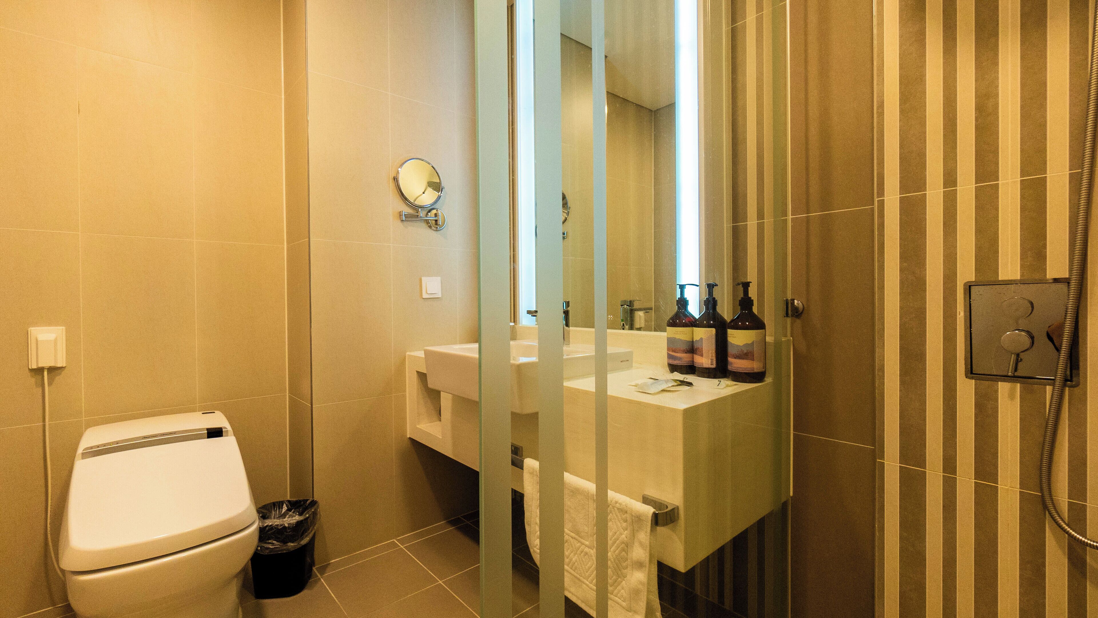 A bathroom with a toilet, a sink with a mirror, and a shower area.